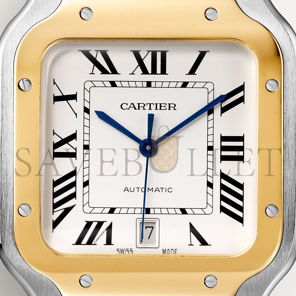 Ca*t*er santos de watch w2sa0009